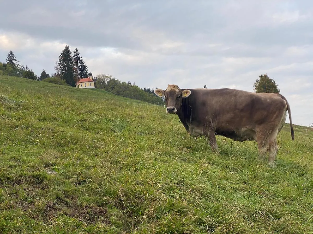 Villa Herzland Allgäu: Cozy Retreat with Garden, Fireplace & Königscard Lechbruck Germany